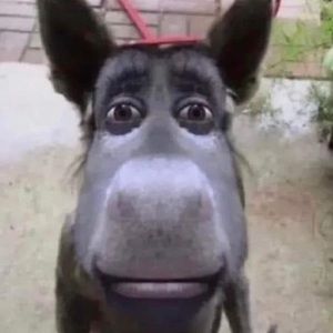 Meet your Posher, Christian